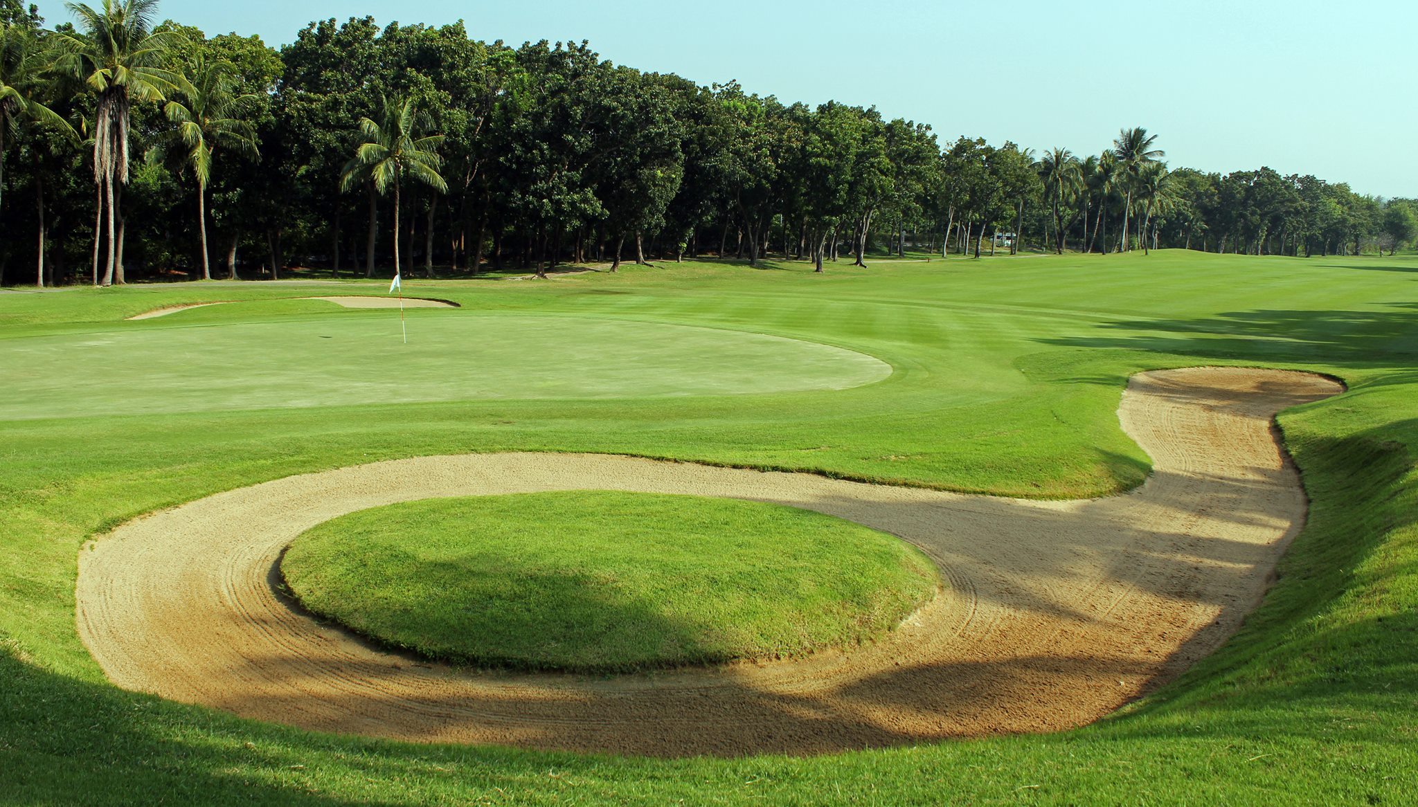 Palm Hills (3)