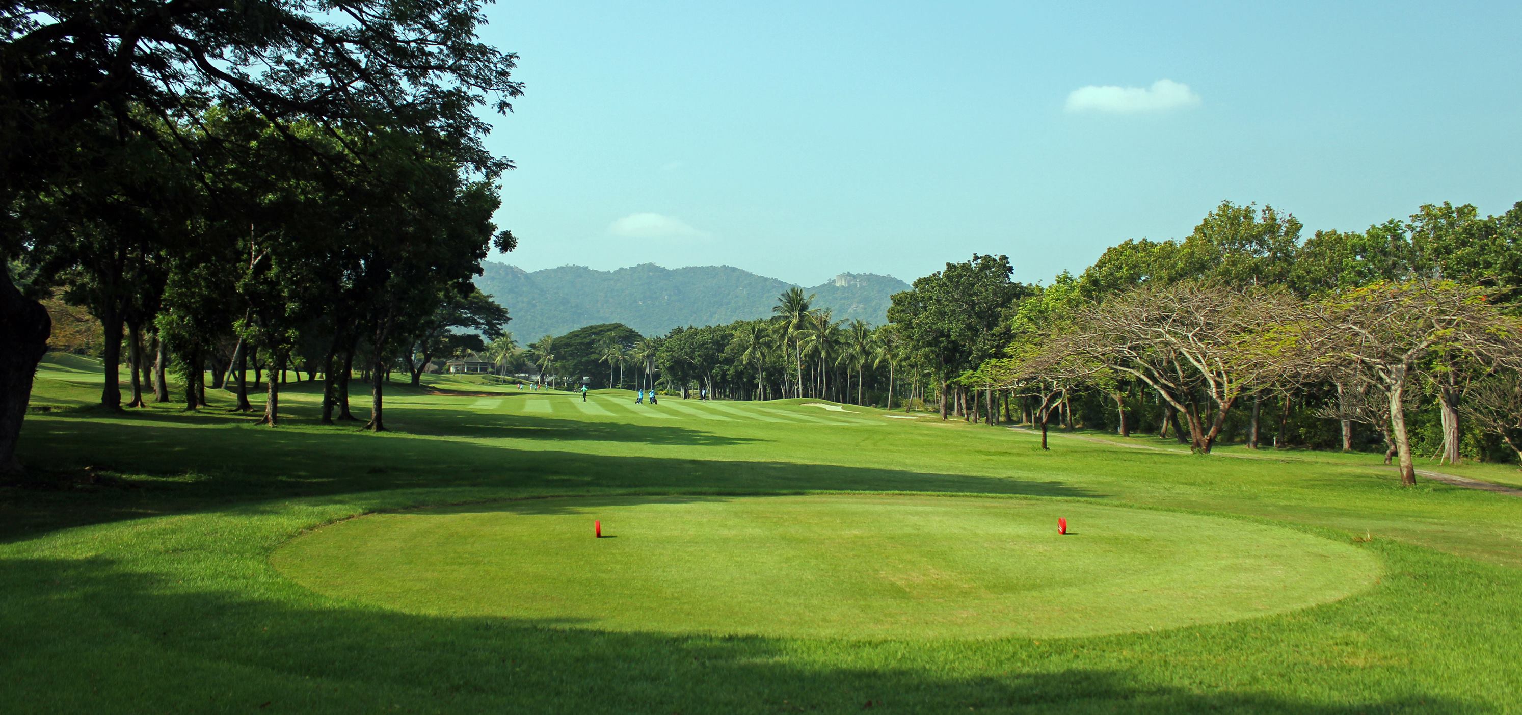 Palm Hills (22)