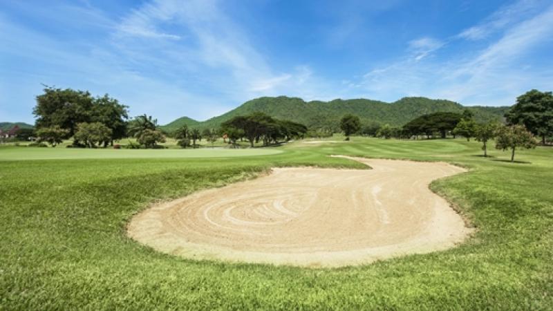 Palm Hills (11)