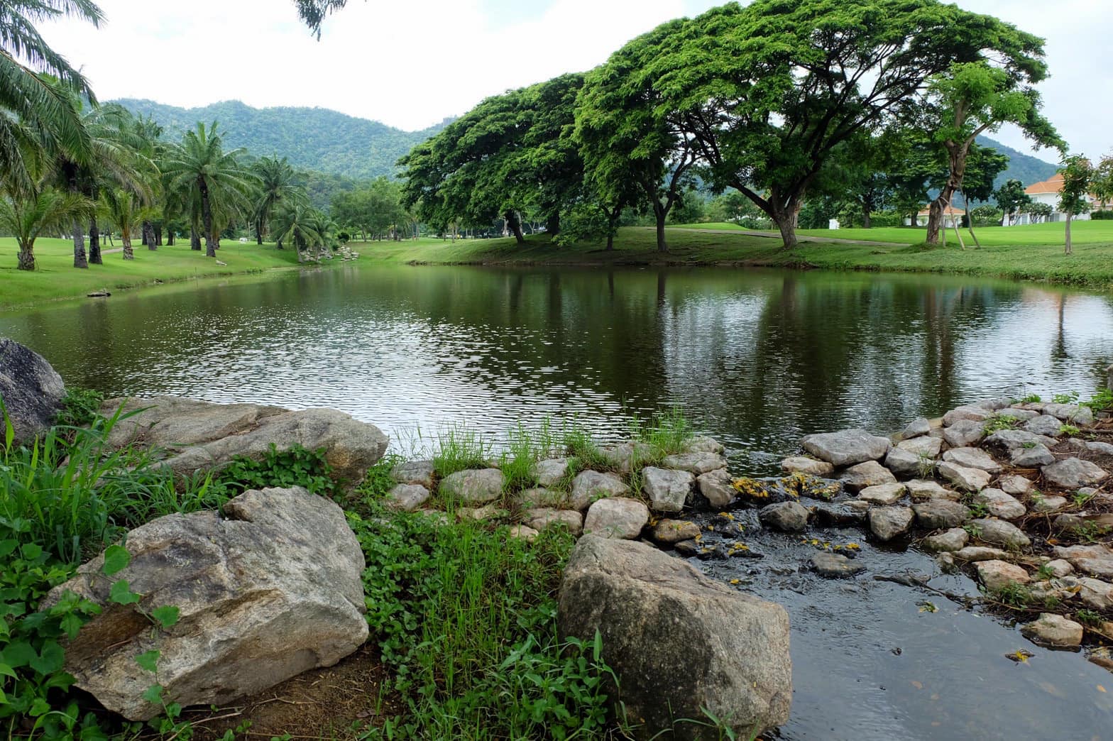 Palm Hills (2)