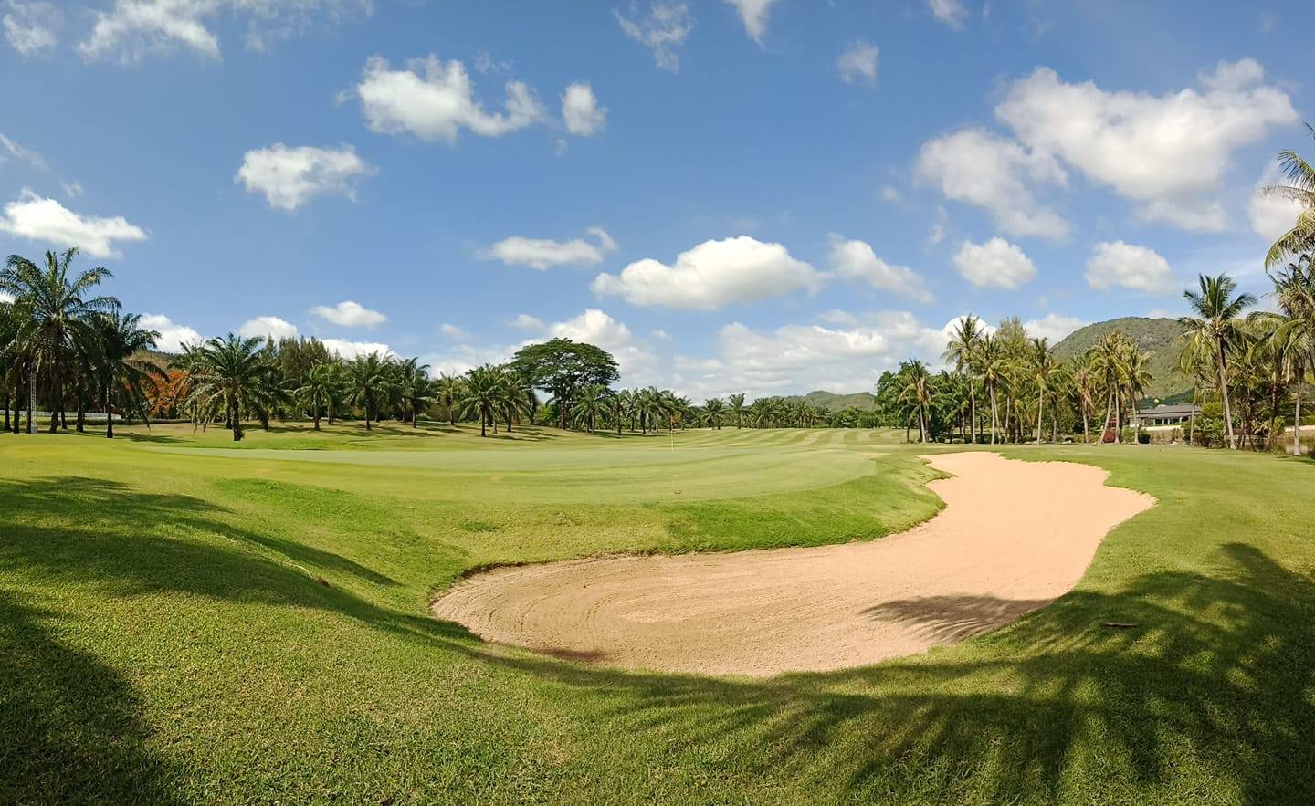 Palm Hills (7)